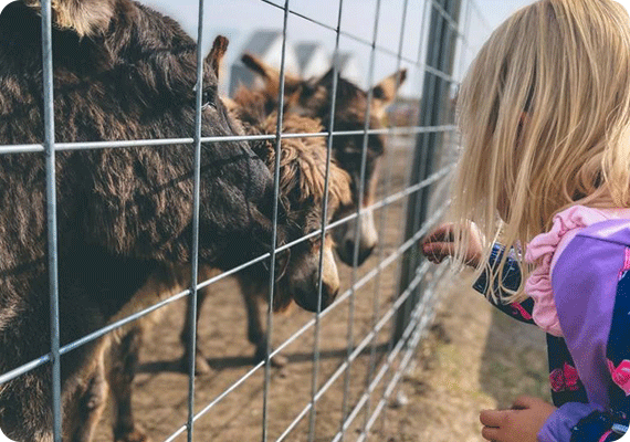 Spark-Academy-Calgary-School-Homeschool-Pod-r