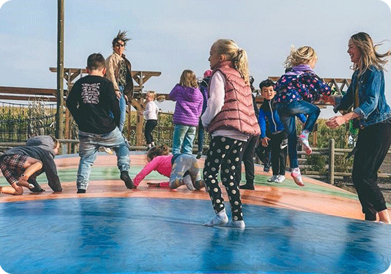 Spark-Academy-Calgary-School-Homeschool-Pod-t