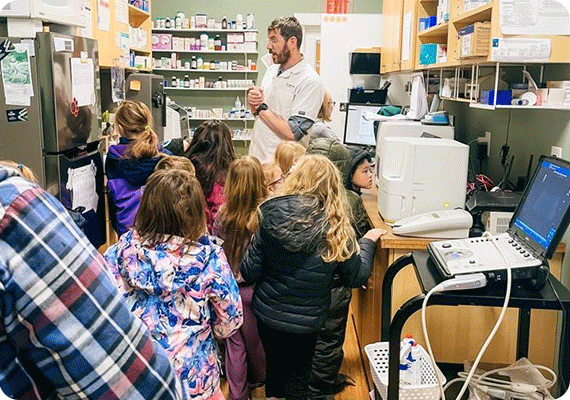 Spark-Academy-Calgary-School-Homeschool-Pod-w